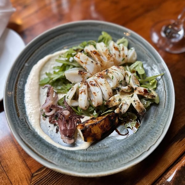 Grilled calamari and tentacles with greens and a creamy sauce on a grey plate at Paradiso's Restaurant.