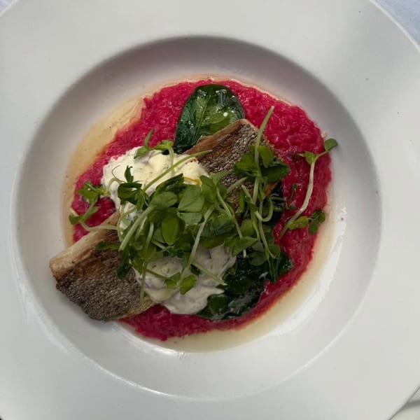 Pan-seared fish with crispy skin, red risotto, creamy sauce, and microgreens in a white bowl.